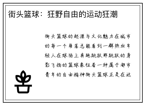 街头篮球：狂野自由的运动狂潮